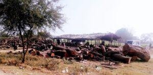 प्रयागराज उoप्रo9जनवरी2023*पर्यावरण एवं हरे वृक्षों को भारी नुकसान पहुंचा रहे वन माफिया व अवैथ आरा मशीन संचालक!जिम्मेदार मौन* प्रयागराज उoप्रo9जनवरी2023*पर्यावरण एवं हरे वृक्षों को भारी नुकसान पहुंचा रहे वन माफिया व अवैथ आरा मशीन संचालक!जिम्मेदार मौन*