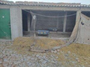 कौशाम्बी28मार्च*चक्की कारखाना में बंधी 12 बकरी खोल ले गए चोर* कौशाम्बी28मार्च*चक्की कारखाना में बंधी 12 बकरी खोल ले गए चोर*