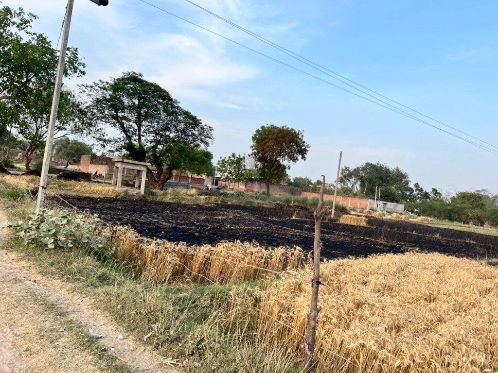 कौशांबी 14 अप्रैल*आगजनी से खेत में खडी गेहूँ की फसल जलकर खाक* कौशांबी 14 अप्रैल*आगजनी से खेत में खडी गेहूँ की फसल जलकर खाक*