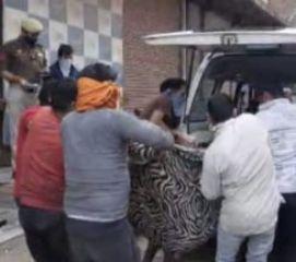 कानपुर 06 अप्रैल *  कानपुर में छेड़छाड़ से परेशान दो लड़कियों ने की आत्महत्या ।
