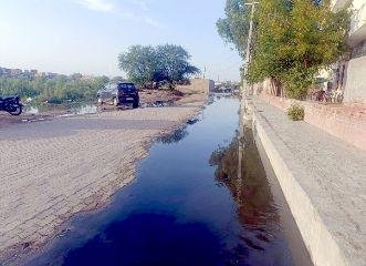 अबोहर 20 अप्रैल* न्यायाधीशों के निवास को जाने वाले रास्ते पर सीवरेज का पानी भरा, लोग परेशान