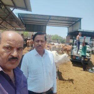 जोधपुर03मई2023* राजस्थान के यशस्वी मुख्यमंत्री श्री अशोक गहलोत जी का जन्मदिन बड़े धूमधाम से मनाया गया जोधपुर03मई2023* राजस्थान के यशस्वी मुख्यमंत्री श्री अशोक गहलोत जी का जन्मदिन बड़े धूमधाम से मनाया गया