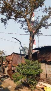 कानपुर17मई23*वेल्डिंग चिंगारी से लगी आग से तीन गद्दा दुकान जलकर हुई राख*