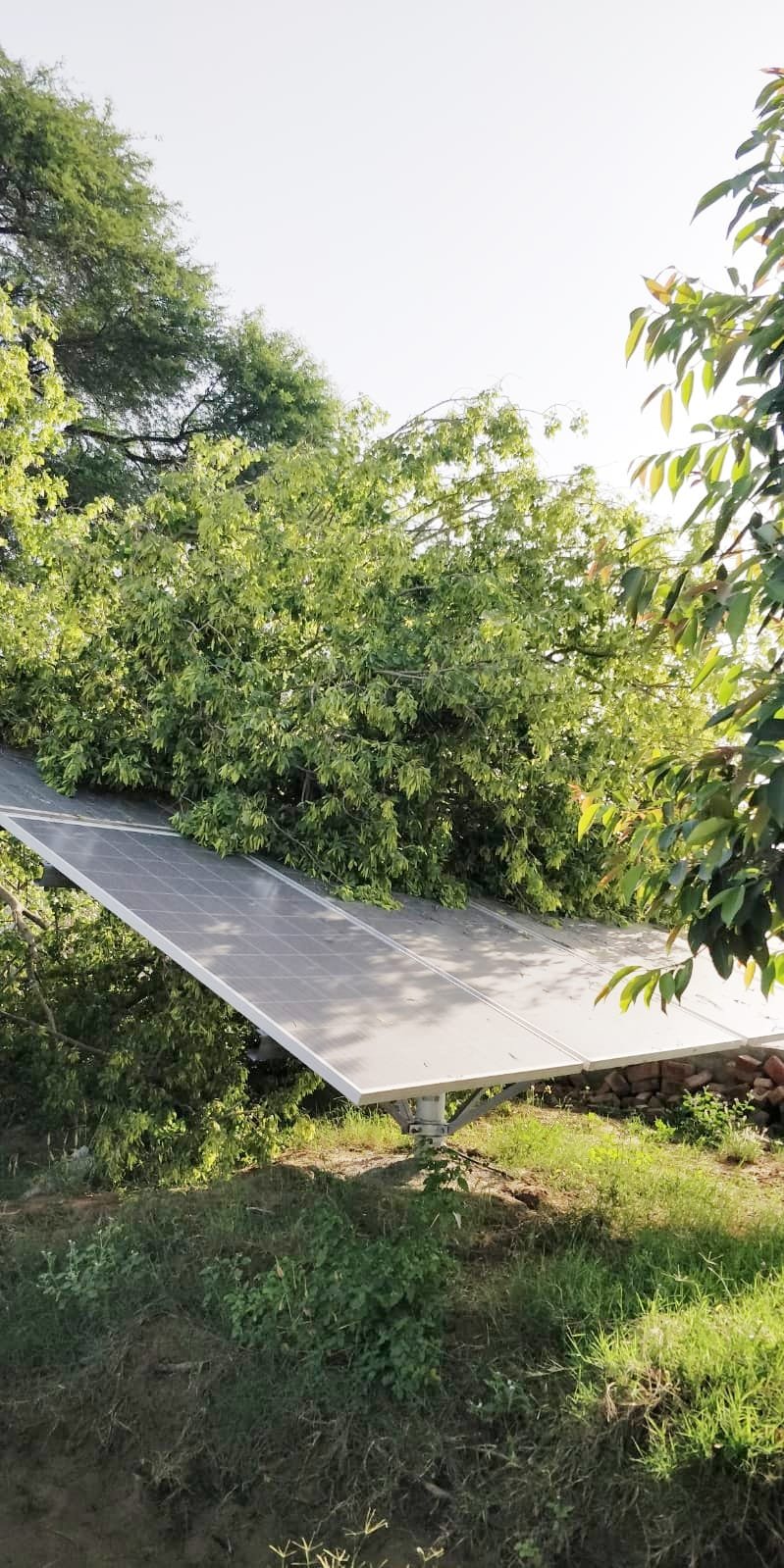 पंजाब26मई2023*गांव दोदेवाला में बरसात व आंधी से सोलर प्लेटें टूटी, मुआवजे की मांग पंजाब26मई2023*गांव दोदेवाला में बरसात व आंधी से सोलर प्लेटें टूटी, मुआवजे की मांग