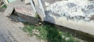 कानपुर03जून2023*क्षेत्रफल बड़ा होने के कारण 2 सफाई कर्मचारी नियुक्त होने के बाद 1 सफाई कर्मचारी आने से सफाई नही हो पा रही है