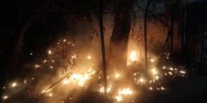 लखनऊ05जून2023*नवाब अशरफुद्दूदौल ज़नाना पार्क में लगी आग*