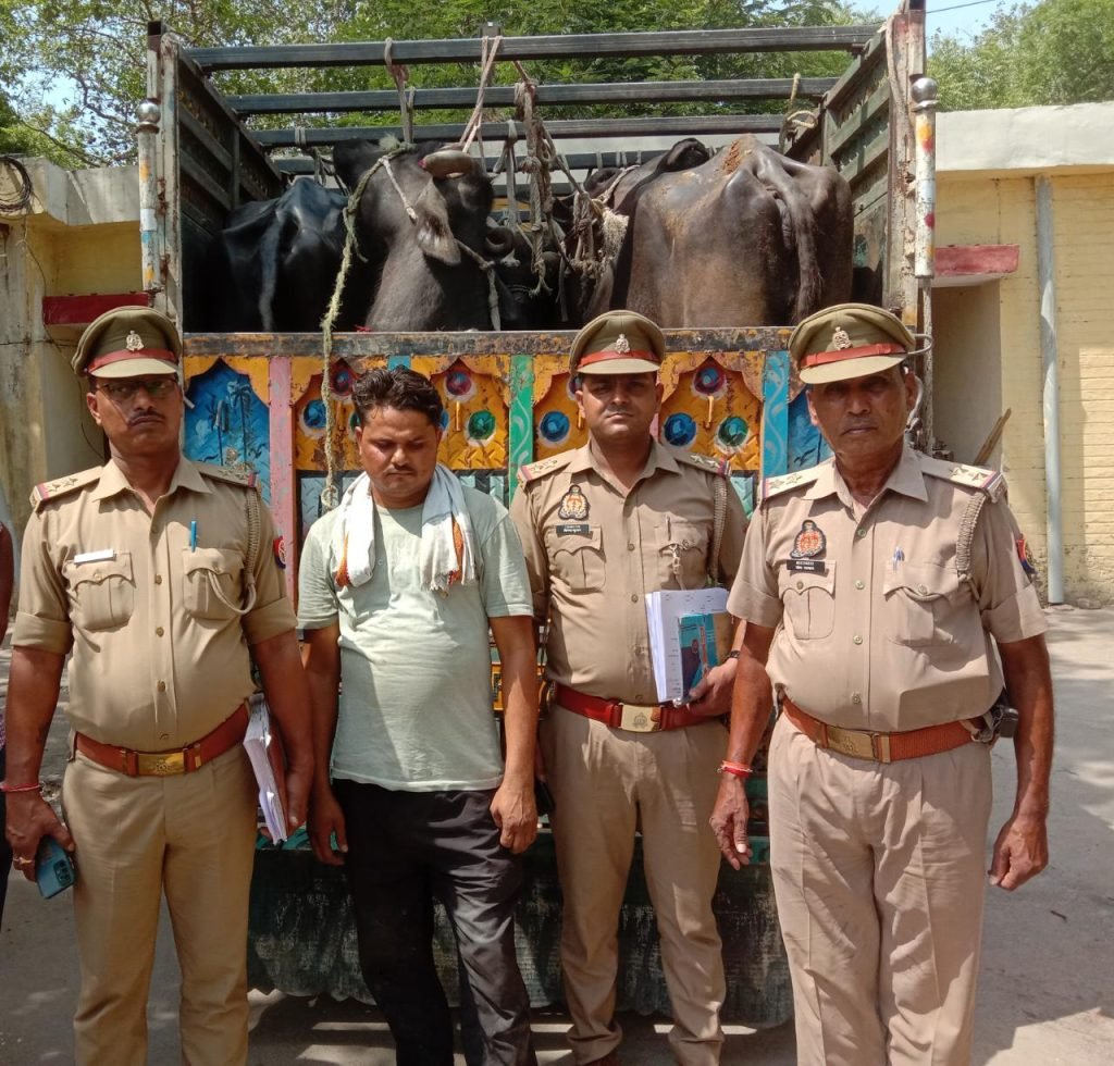 कानपुर नगर10जून2023* पनकी थाना प्रभारी विक्रम सिंह के सकुशल नेतृत्व में पशु तस्कर पर की गई कार्यवाही*