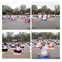 हल्द्वानी 21 जून* हल्द्वानी आर्मी कैंट में योग शिविर का आयोजन किया गया। 