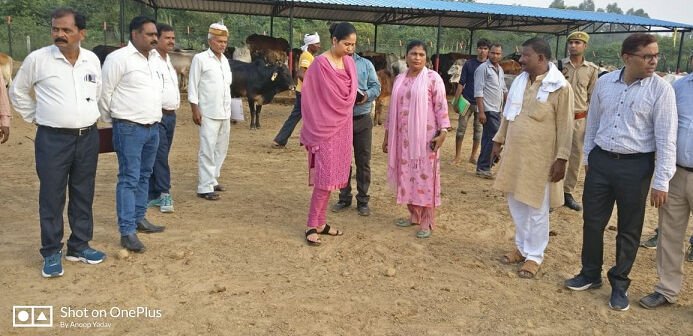 हरदोई07जुलाई2023*सांपों के इस मौसम में सावधानी ही बचाव-सर्प मित्र कुलदीप श्रीवास्तव* हरदोई07जुलाई2023*सांपों के इस मौसम में सावधानी ही बचाव-सर्प मित्र कुलदीप श्रीवास्तव*