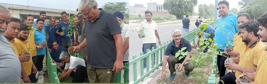 पंजाब08जुलाई23*सफाई अभियान के दौरान किया पौधारोपण