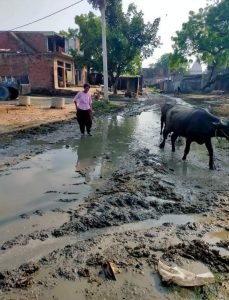 कानपुर31जुलाई2023*बिल्हौर ब्लॉक अंतर्गत गांव मजरा गडरानी में पंचायत सचिव साहब रवी यादव जी की चल रही अफसर शाही।