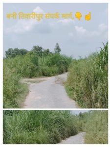 कानपुर25अगस्त23*बड़े हादसे को दावत देता हुआ बनी तिवारीपुर संपर्क मार्ग