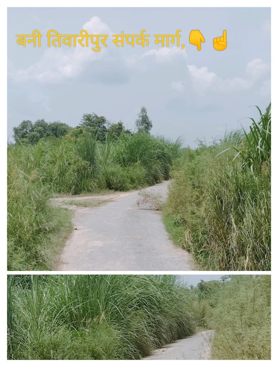 कानपुर25अगस्त23*बड़े हादसे को दावत देता हुआ बनी तिवारीपुर संपर्क मार्ग कानपुर25अगस्त23*बड़े हादसे को दावत देता हुआ बनी तिवारीपुर संपर्क मार्ग