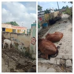 कानपुर23अगस्त23*अराजक तत्व के द्वारा प्राथमिक विद्यालय के गेट पर कृषि यंत्र हैरो आदि रखकर फैला रहे अराजकता*