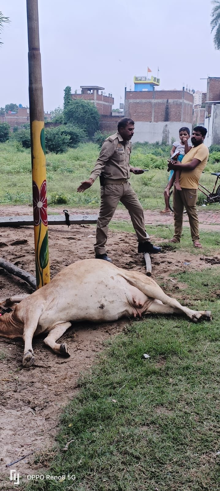 कानपुर09सितम्बर23*बिजली विभाग की घोर लापरवाही के कारण हुआ हादसा