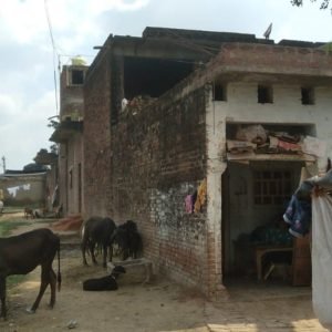 कानपुर22सितम्बर23**बिल्हौर विकास खंड में आवास में खंड विकास अधिकारी द्वार नियम और कानून की ऊढ़ाई जा रही धज्जियां