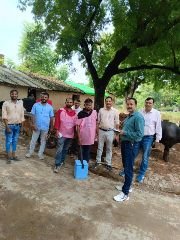 कौशाम्बी14सितम्बर2023*लम्पी स्किन डिजीज के दृष्टिगत जनपद में मिशन मोड पर गोवंशों को लगाया जा रहा टीका*