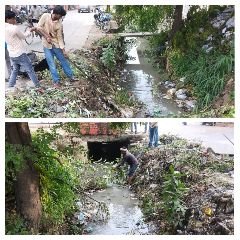 औरैया14सितम्बर2023*सफाई करते नगर पंचायत कर्मी* औरैया14सितम्बर2023*सफाई करते नगर पंचायत कर्मी*