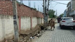 पंजाब 16 सितम्बर 2023* पहली बारिश में धंस गई आर्य नगरी रोड, ठेेकेदार पर कार्यवाई की मांग