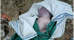 मथुरा 20 सितम्बर 2023* गोकुल बैराज के पास झाड़ियों से नवजात का शव बरामद हुआ।