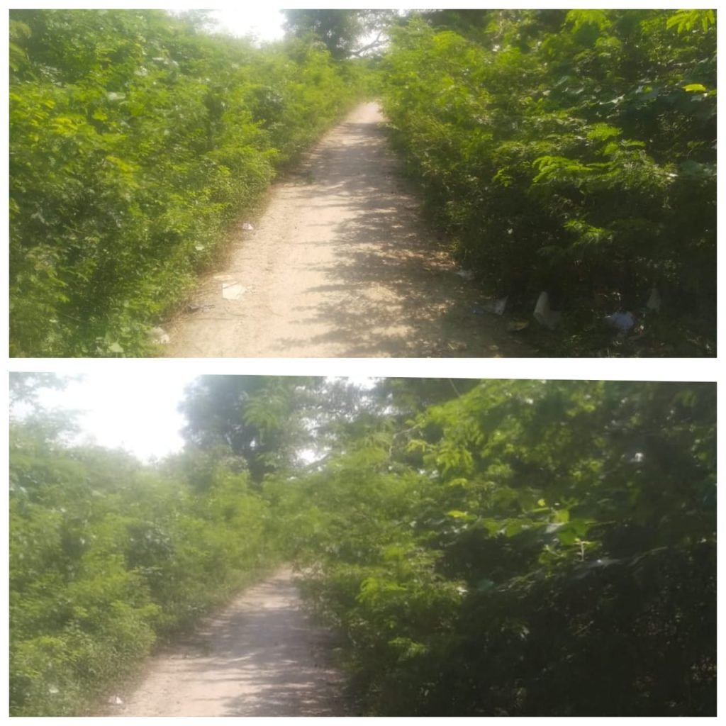 कौशाम्बी06अक्टूबर23*सरकारी बबूल की झाड़ियों की खरोंच से चोटिल हो रहे हैं राहगीर*