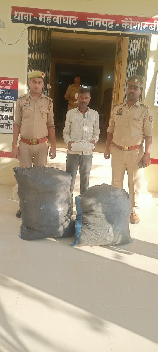 कौशाम्बी19अक्टूबर23*गांजा की खेती करने वाला दो बोरा गाँजा के साथ गिरफ्तार*