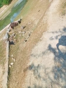 कौशाम्बी21अक्टूबर23*तालाब में पानी न होने से मूर्ति विसर्जन करने वाले भक्तों में आक्रोश*