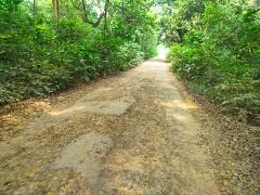 अयोध्या17अक्टूबर23*बदहाल सड़क पर गुजरने को मजबूर राहगीर