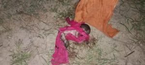 कौशाम्बी18अक्टूबर23*जन्म लेते ही निर्दयी माँ ने झाड़ी में फेंका नवजात*