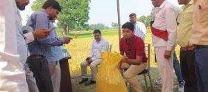 कौशाम्बी19अक्टूबर23*क्रॉप कटिंग का डीएम ने किया स्थलीय निरीक्षण*