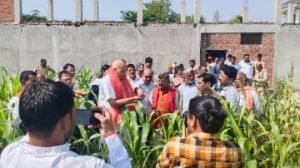 अयोध्या20अक्टूबर23*कृषि मंत्री सूर्य प्रताप शाही ने रुदौली विधायक के साथ श्रीअन्न की खेती का किया निरीक्षण