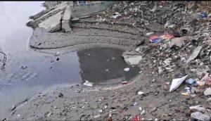 कानपुर नगर2अक्टूबर23*मैट्रो सिटी कानपुर में दम तोडता निर्मल गंगा का सपना*