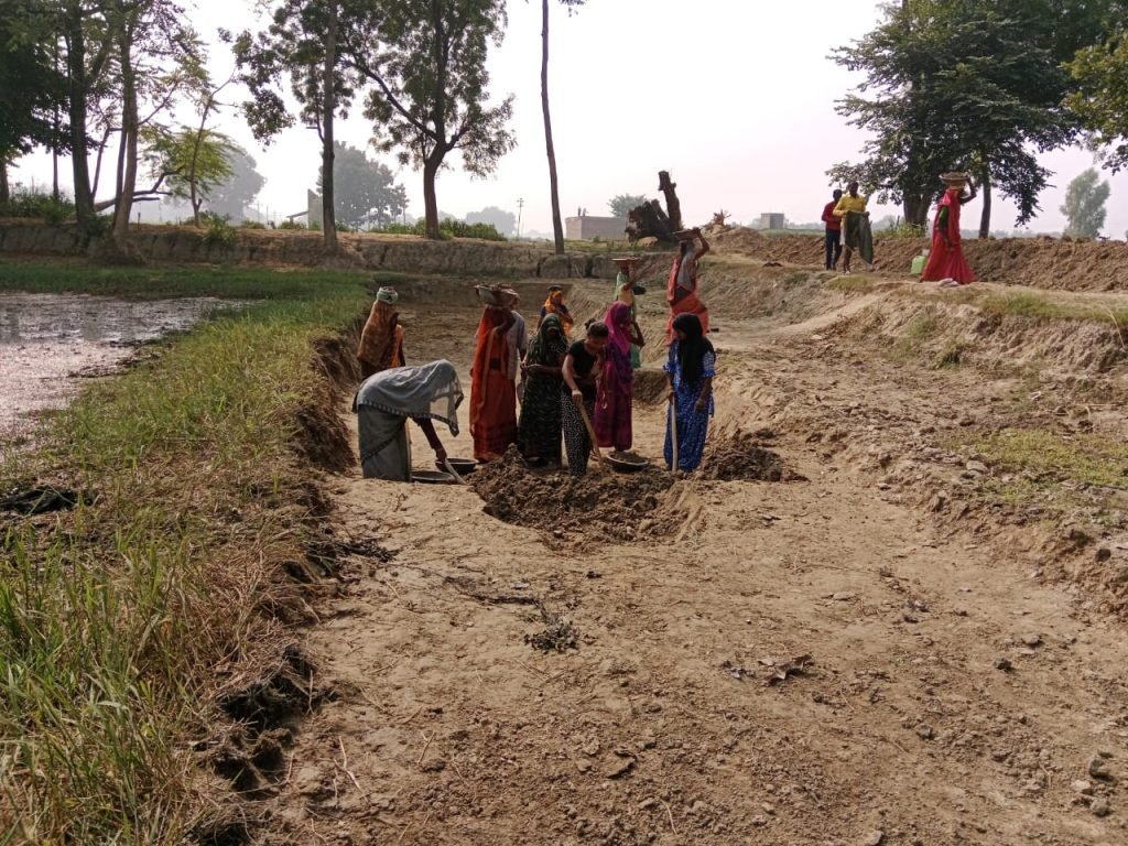 कौशाम्बी29नवम्बर23*कसिया पश्चिम गांव में मनरेगा मजदूरी में बड़ी धांधली*