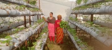 अयोध्या06नवम्बर23*हाइड्रोपोनिक खेती कर सबीना बनी क्षेत्र की प्रथम महिला कृषक अयोध्या06नवम्बर23*हाइड्रोपोनिक खेती कर सबीना बनी क्षेत्र की प्रथम महिला कृषक