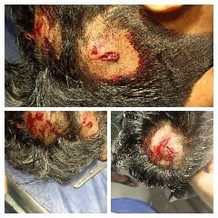 कानपुर नगर15नवम्बर23*दबंगो के हौसले हुए बुलंद युवक को बेरहमी से पीटा