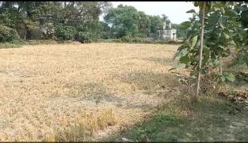 कौशांबी18नवम्बर23*9 हेक्टेयर सरकारी भूमि की खड़ी फसल खेत से गायब:*