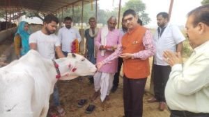 कौशाम्बी20नवम्बर23*गो-आश्रय स्थल उदहिन बुजुर्ग में सीडीओ ने किया गोपूजन*