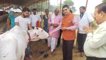 कौशाम्बी20नवम्बर23*गो-आश्रय स्थल उदहिन बुजुर्ग में सीडीओ ने किया गोपूजन* कौशाम्बी20नवम्बर23*गो-आश्रय स्थल उदहिन बुजुर्ग में सीडीओ ने किया गोपूजन*