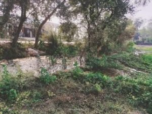 कौशाम्बी21नवम्बर23*जल निगम की पाइप फटने से सड़क किनारे भरा रहता है पानी*