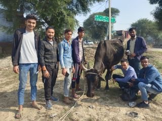 मथुरा 17 दिसंबर 2023* *श्रीराम गौ रक्षा दल मांट कर रहा बीमार, और घायल गौवंश का इलाज़* मथुरा 17 दिसंबर 2023* *श्रीराम गौ रक्षा दल मांट कर रहा बीमार, और घायल गौवंश का इलाज़*