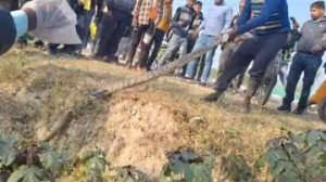 कौशाम्बी18दिसम्बर23*अजगर देख राहगीरों में मचा हड़कंप*
