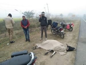 मथुरा29दिसम्बर23*28 दिसंबर 2023 मथुरा आगरा रोड पर गोवंश को वाहन चालक ने जोरदार टक्कर मारकर उड़ाया*