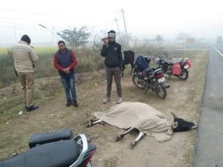 मथुरा29दिसम्बर23*28 दिसंबर 2023 मथुरा आगरा रोड पर गोवंश को वाहन चालक ने जोरदार टक्कर मारकर उड़ाया*