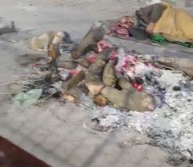 कानपुर नगर31दिसम्बर23* जलती चिता के बगल में सोते हुए एक बुजुर्ग का वीडियो खूब वायरल हुआ.
