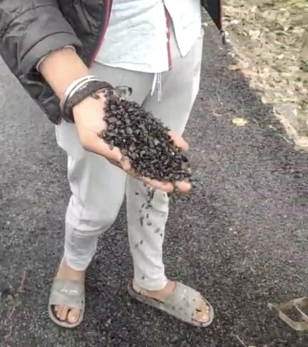 कानपुर03जनवरी24*दो दिन पहले ही बनी सड़क की खुली पोल