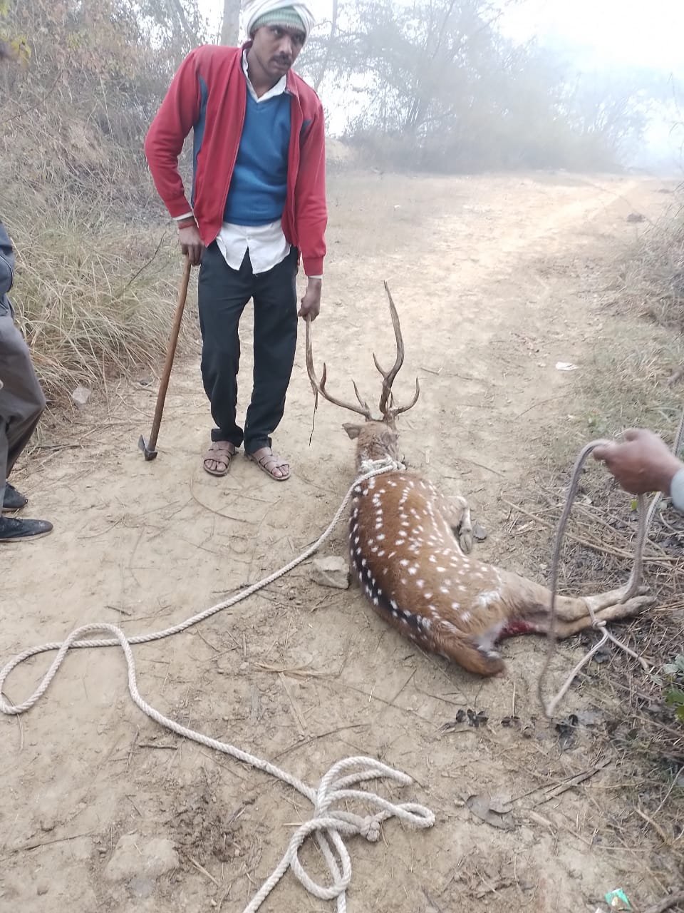 अयोध्या24जनवरी24*हिंसक जानवर की डर से जंगल से निकल कर हिरन भागा अयोध्या24जनवरी24*हिंसक जानवर की डर से जंगल से निकल कर हिरन भागा