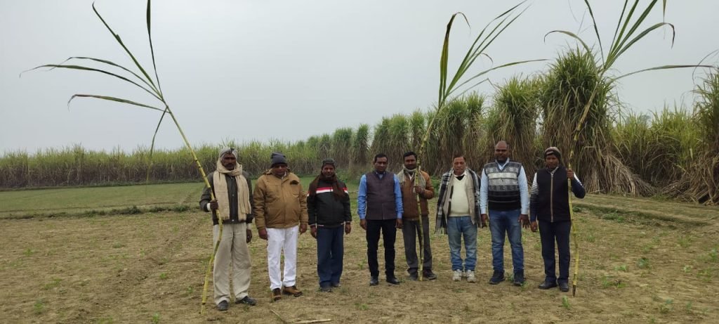 अयोध्या24जनवरी24*बलरामपुर चीनी मिल्स लिमिटेड के यूनिट रौजागांव ने 19-01-2024 तक खरीदे गन्ने का किया गन्ना मूल्य भुगतान अयोध्या24जनवरी24*बलरामपुर चीनी मिल्स लिमिटेड के यूनिट रौजागांव ने 19-01-2024 तक खरीदे गन्ने का किया गन्ना मूल्य भुगतान