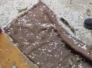 मिर्जापुर13फरवरी24*बारिश और ओले ने मिर्जापुर में बढ़ाई ठंड, रुक-रुक कर हो रही बारिश से लोग परेशान, फसलों को हुआ नुकसान*