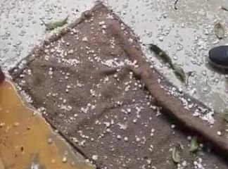 मिर्जापुर13फरवरी24*बारिश और ओले ने मिर्जापुर में बढ़ाई ठंड, रुक-रुक कर हो रही बारिश से लोग परेशान, फसलों को हुआ नुकसान* मिर्जापुर13फरवरी24*बारिश और ओले ने मिर्जापुर में बढ़ाई ठंड, रुक-रुक कर हो रही बारिश से लोग परेशान, फसलों को हुआ नुकसान*