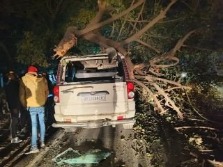 अयोध्या13फरवरी24*रोड पर लटक रही पेड़ की डाल गिरी स्कार्पियो पर अयोध्या13फरवरी24*रोड पर लटक रही पेड़ की डाल गिरी स्कार्पियो पर